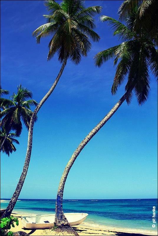 Villa Luce Las Terrenas Eksteriør bilde